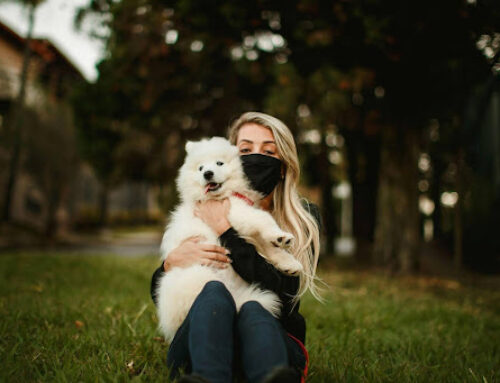 Why Every Pet Owner Should Consider a Pet Trust in Their Estate Plan